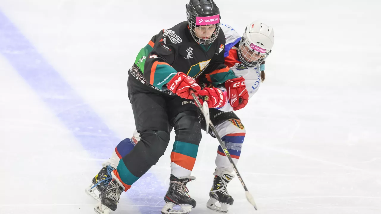 TAURON Liga Hokeja Kobiet: Sześć meczów w weekend