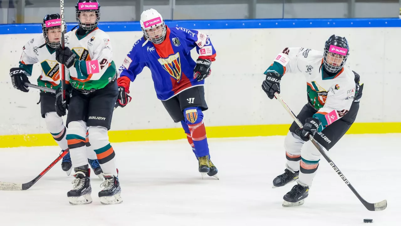TAURON Liga Hokeja Kobiet: W weekend cztery mecze