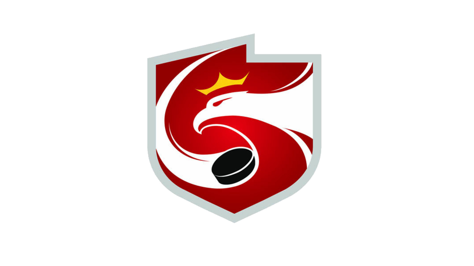 PZHL zaprasza na szkolenie trenerów hokeja na lodzie, 23 – 24 kwietnia w Krynicy-Zdroju