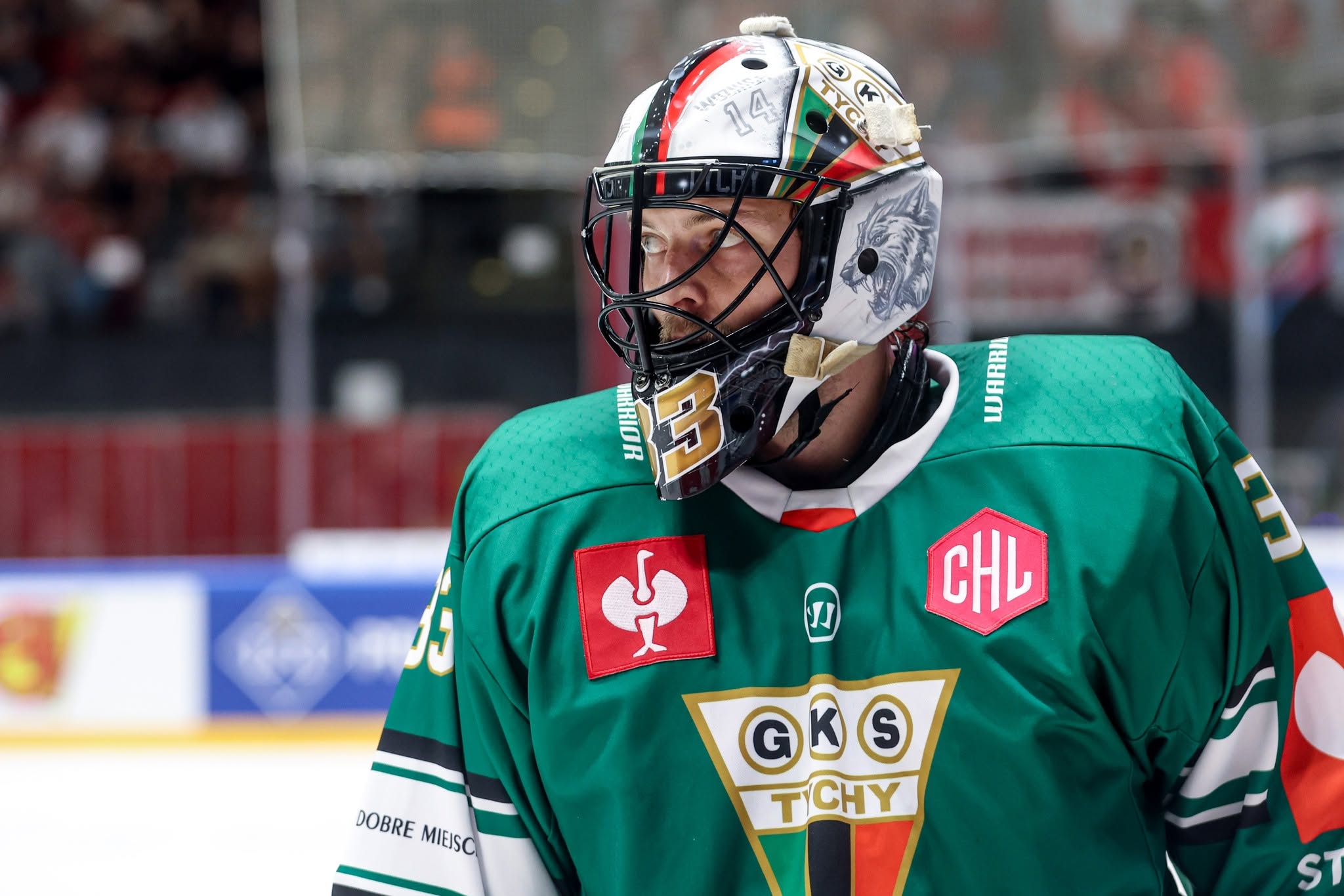 Znamy terminarz meczów GKS Tychy w Hokejowej Lidze Mistrzów