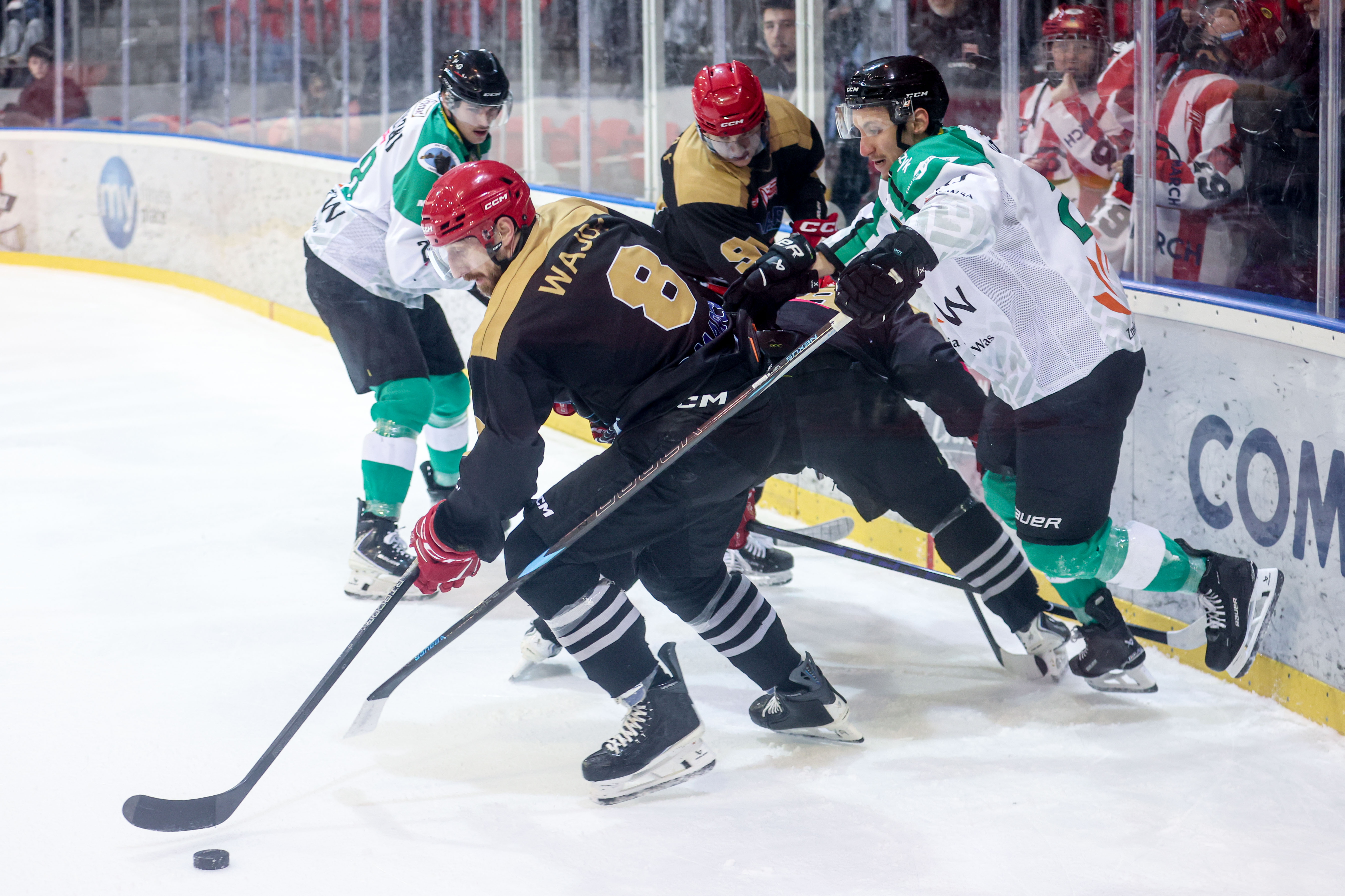 35. kolejka TAURON Hokej Liga. Stalowe Pierniki zatrzymały Unię