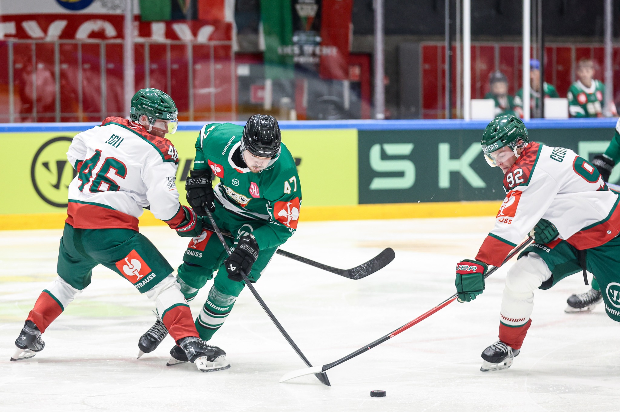 Hokejowa Liga Mistrzów. W środę tyszanie zagrają z Finami 
