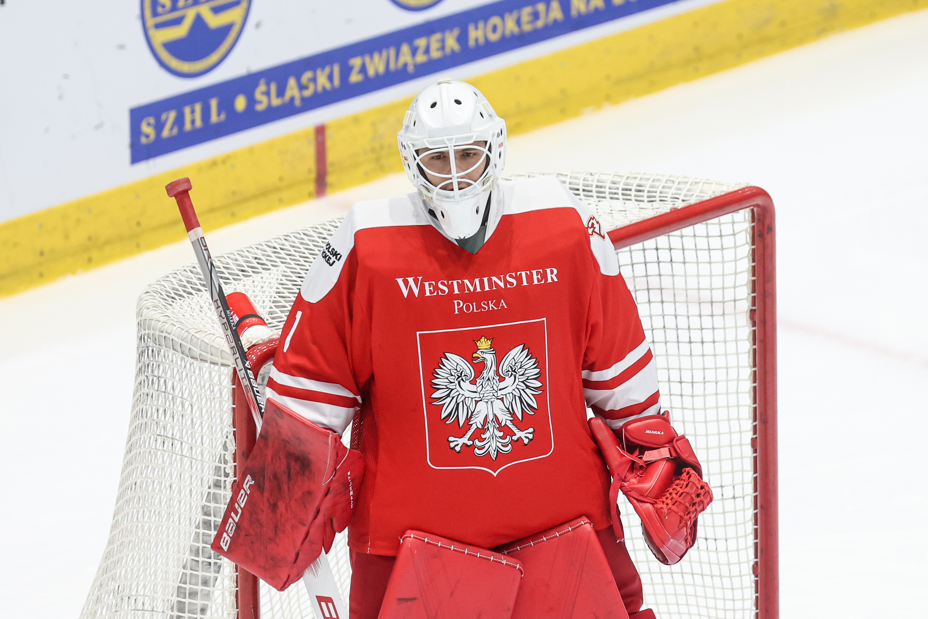 Polacy zagrają w Europejskim Pucharze Narodów w Budapeszcie 
