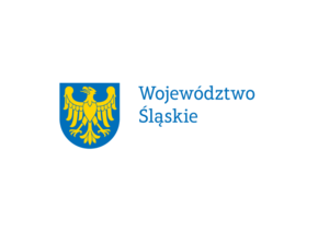 Partnerem Głównym Turnieju Prekwalifikacyjnego do ZIO było Województwo Śląskie. Dziękujemy za wsparcie!