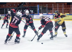 EWHL. W weekend ostatnie mecze TAURON Metropolii Silesia