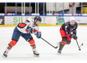 TAURON Metropolia Silesia odpadła w ćwierćfinale play-off EWHL