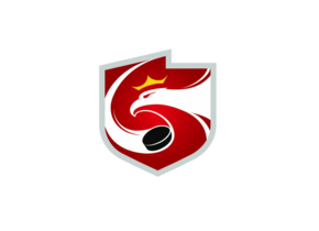Szkolenie trenerów grup młodzieżowych hokeja  na lodzie
