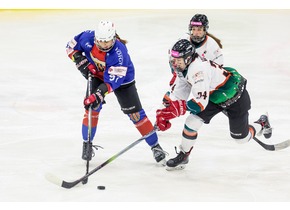 TAURON Liga Hokeja Kobiet. W sobotę drugi mecz finałowy Polonia – Kojotki 
